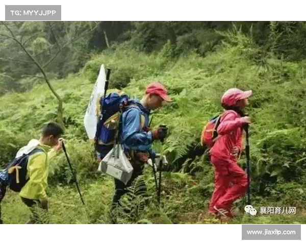 永歌森林探秘之旅:揭秘五大自然奇观与生态奥秘 永歌森林探秘之旅:揭秘五大自然奇观与生态奥秘